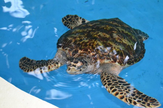 DSC_0001 (FILEminimizer)