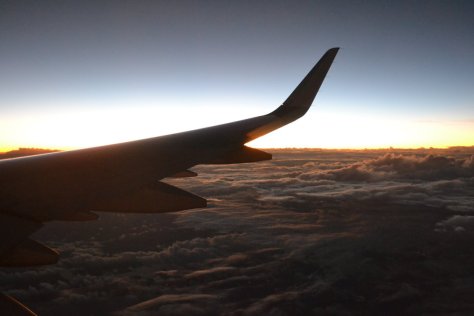 DSC_0042 (FILEminimizer)