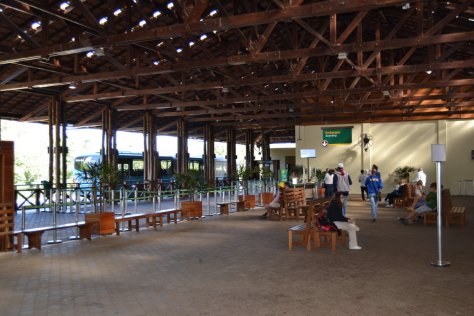 DSC_0600 (FILEminimizer)