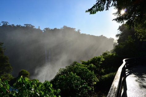 DSC_0712 (FILEminimizer)