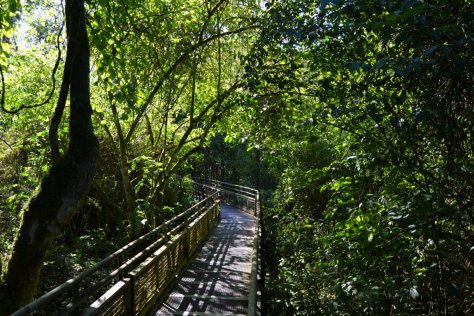 DSC_0819 (FILEminimizer)