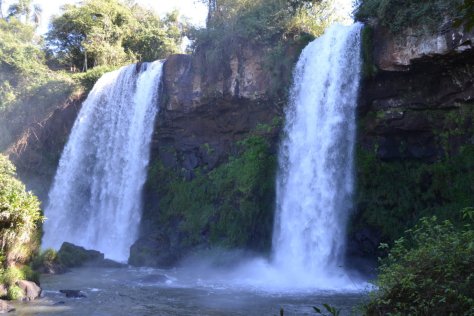 DSC_0823 (FILEminimizer)