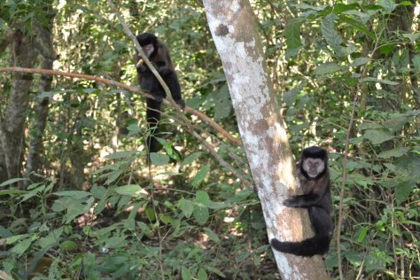 DSC_0826 (FILEminimizer)