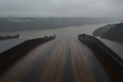 DSC_0915 (FILEminimizer)