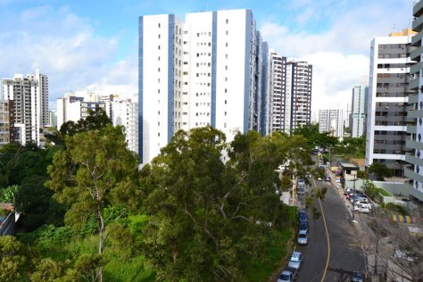 DSC_0962 (FILEminimizer)