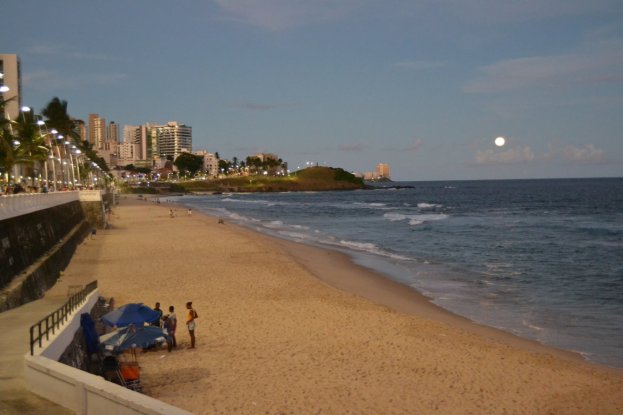 DSC_1166 (FILEminimizer)