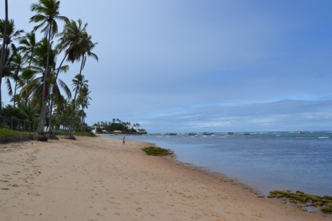 DSC_1187 (FILEminimizer)