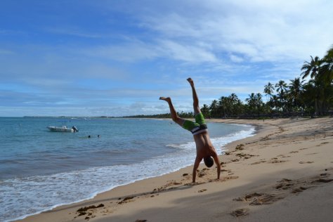 DSC_1211 (FILEminimizer)