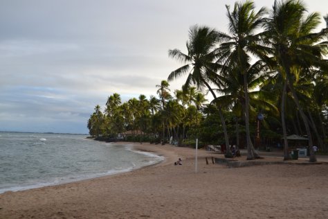 DSC_1244 (FILEminimizer)