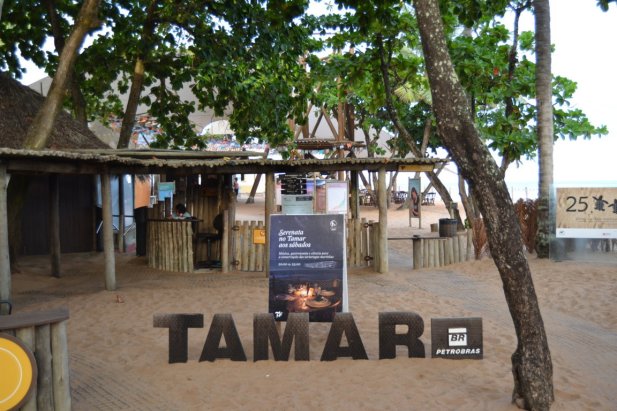 DSC_1246 (FILEminimizer)