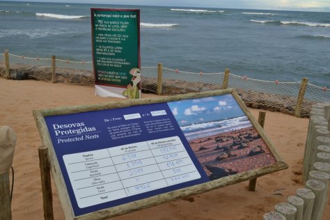 DSC_1248 (FILEminimizer)