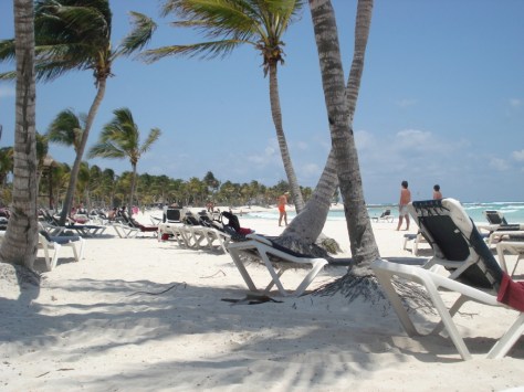 dsc07000-fileminimizer