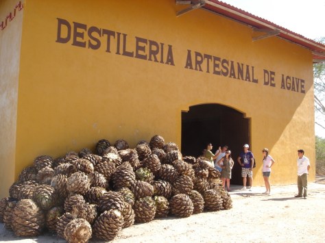 dsc07286-fileminimizer