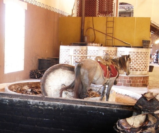 dsc07287-fileminimizer