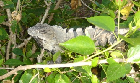 dsc07353-fileminimizer