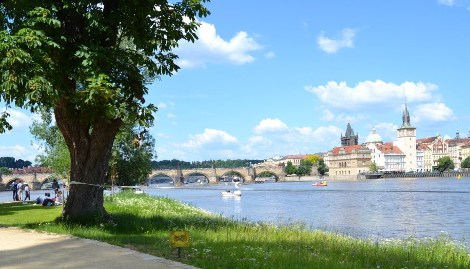 dsc_0941-fileminimizer