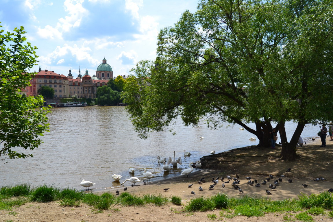 dsc_1021-fileminimizer