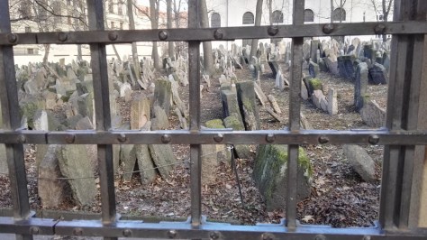 IMG_20171127_095028 (FILEminimizer)