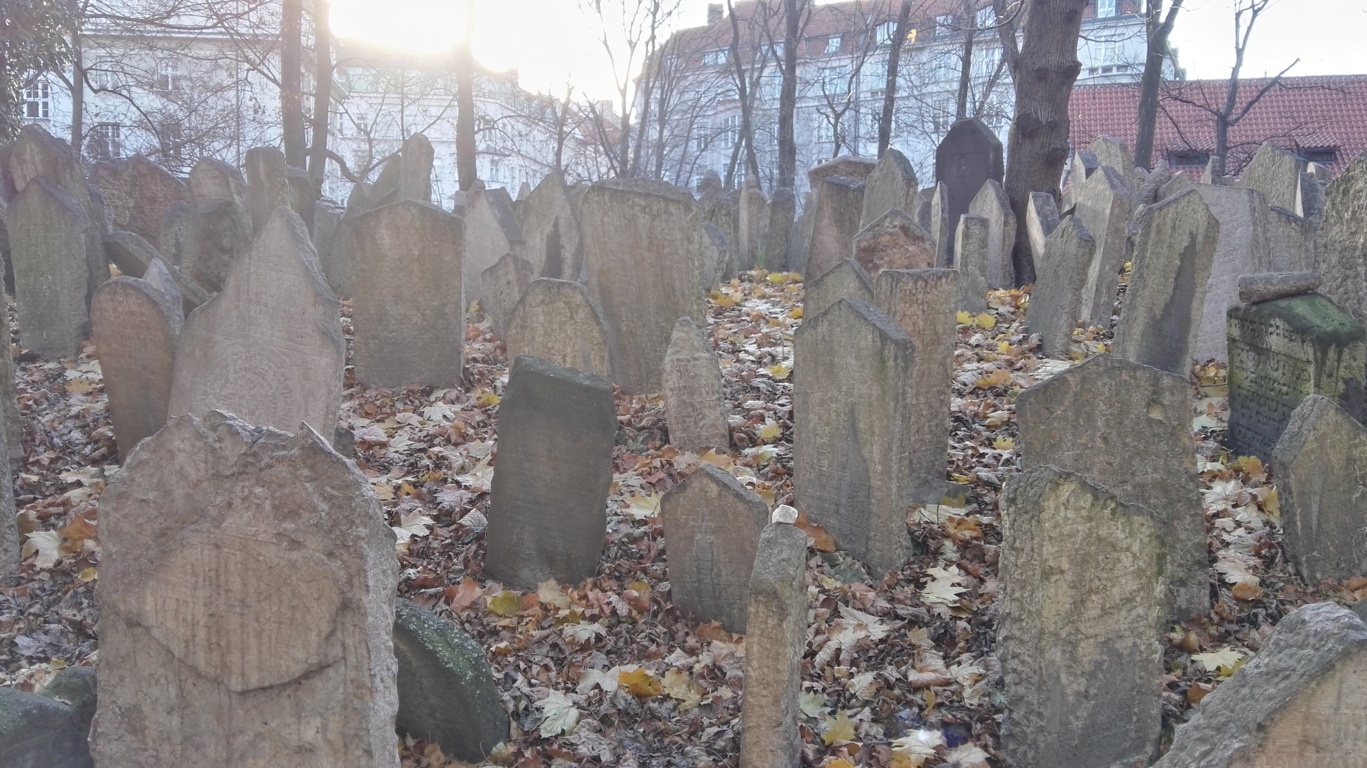 IMG_20171127_095614 (FILEminimizer)