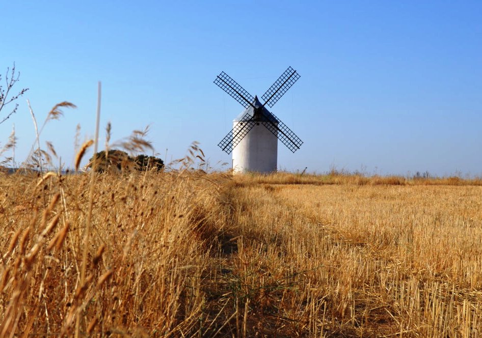 dsc_0695-fileminimizer