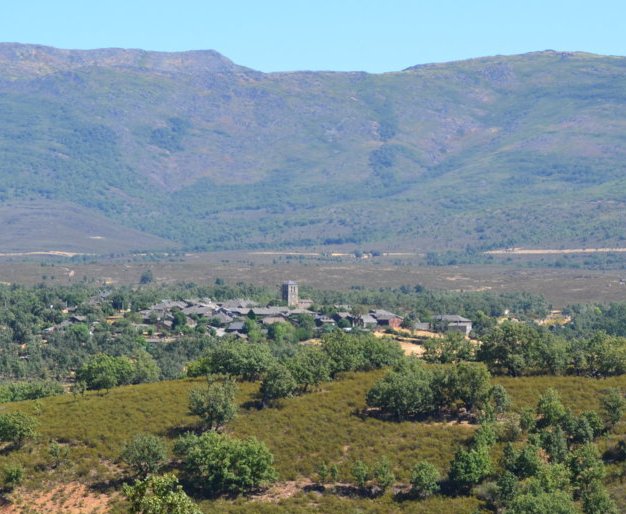 dsc_0749-fileminimizer