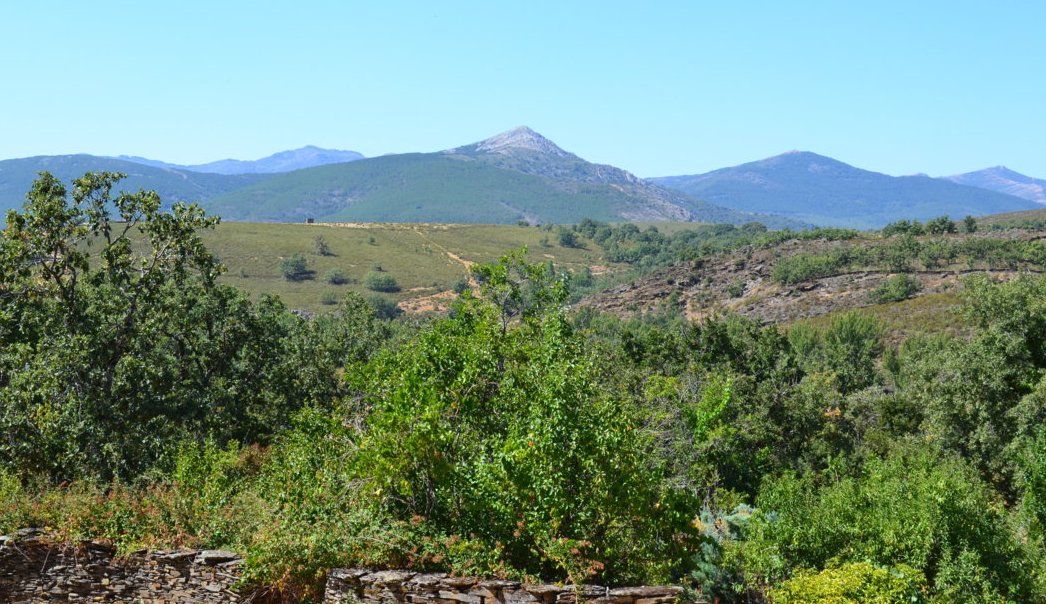 dsc_0755-fileminimizer