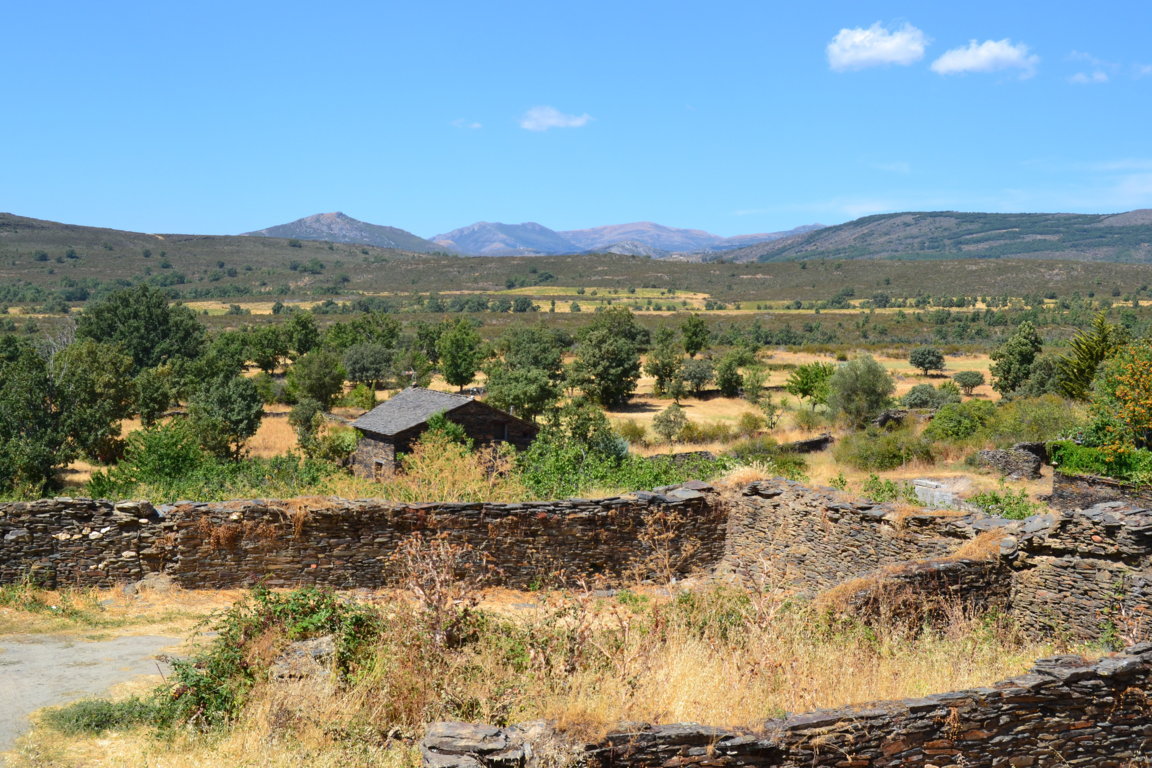 dsc_0768-fileminimizer