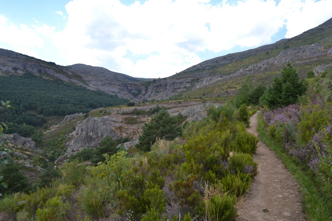 dsc_0815-fileminimizer