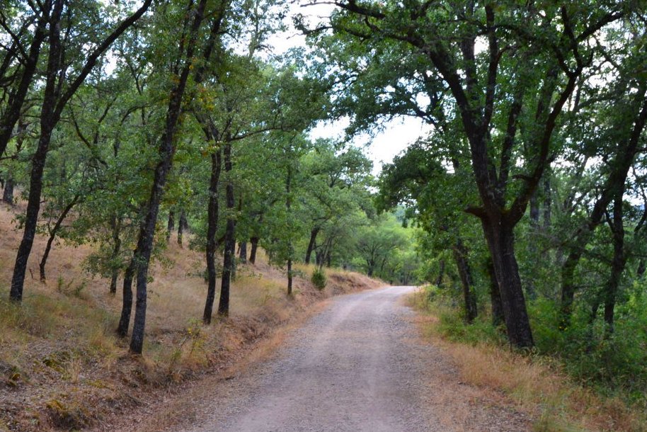 dsc_0865-fileminimizer