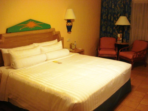 dsc06987-fileminimizer