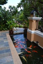 dsc_1248-fileminimizer