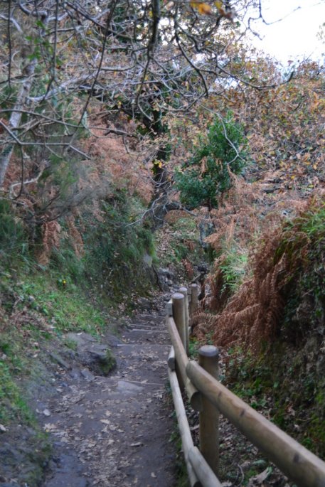 dsc_0155-fileminimizer