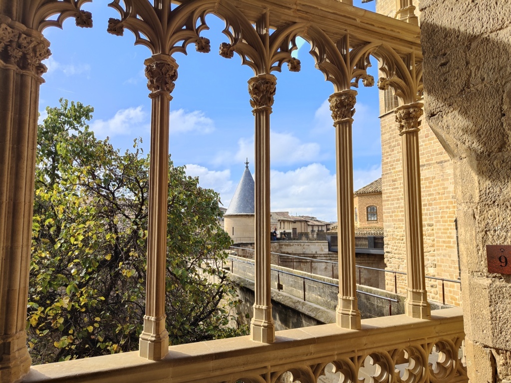 IMG20241103122003 (FILEminimizer)