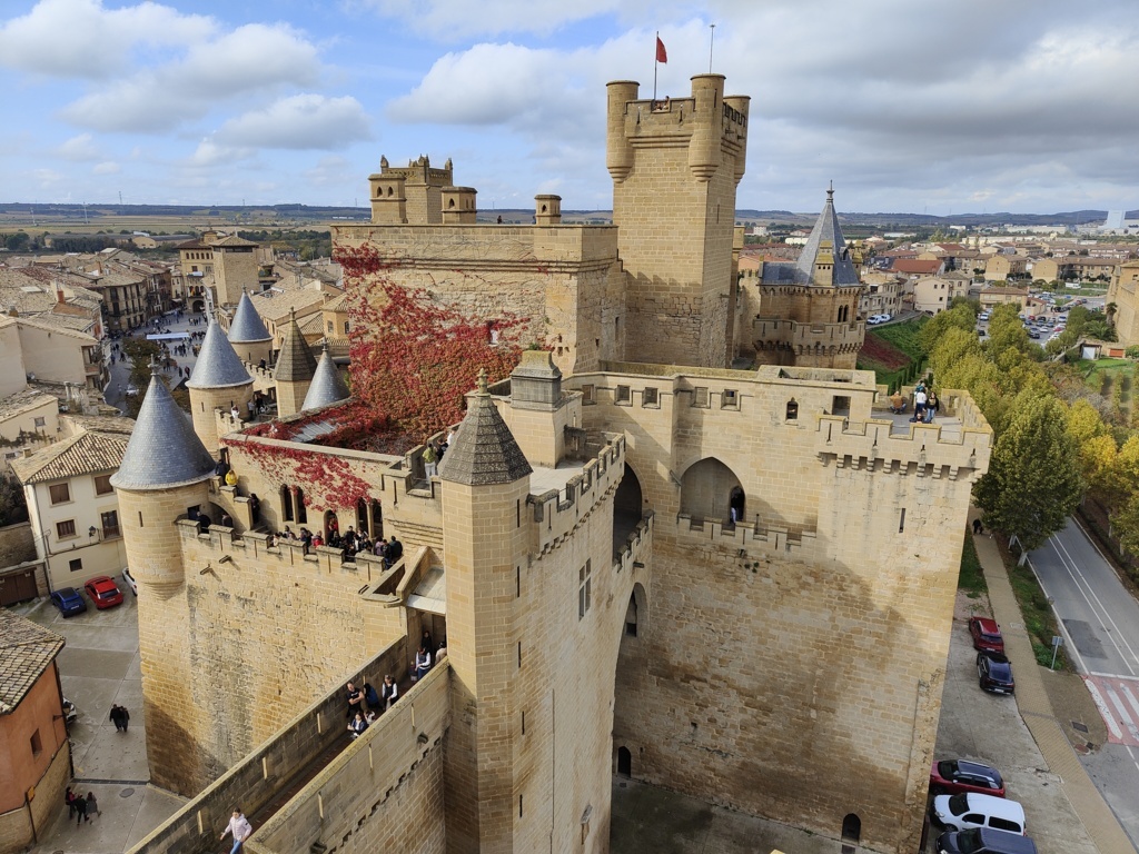 IMG20241103125200 (FILEminimizer)