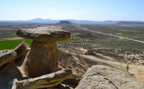 _DSC0503 (FILEminimizer)