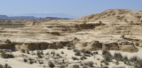 _DSC0556 (FILEminimizer)