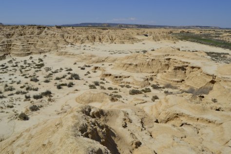 _DSC0577 (FILEminimizer)