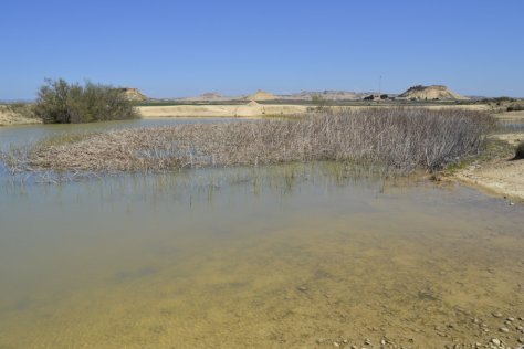 _DSC0591 (FILEminimizer)