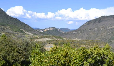 _DSC0600 (FILEminimizer)