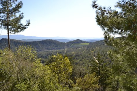 _DSC0610 (FILEminimizer)