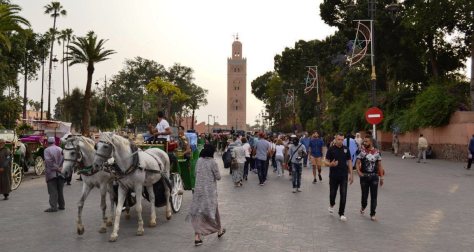 _DSC0687 (FILEminimizer)