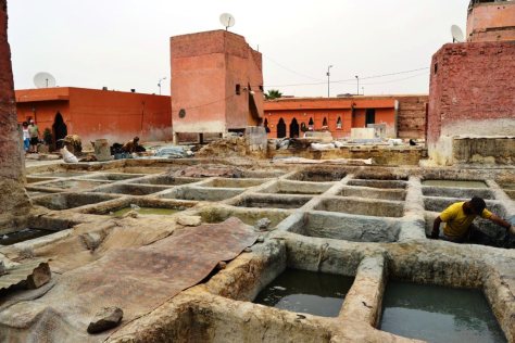 _DSC0861 (FILEminimizer)