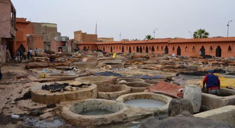 _DSC0862 (FILEminimizer)