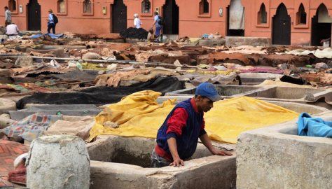 _DSC0863 (FILEminimizer)