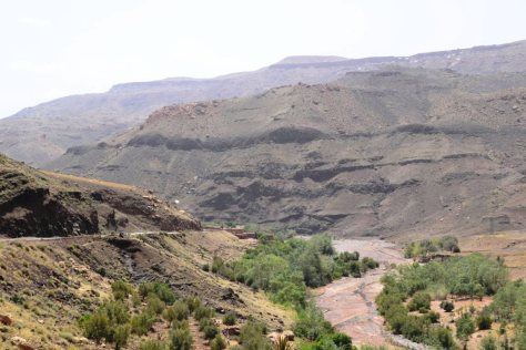 _DSC0919 (FILEminimizer)