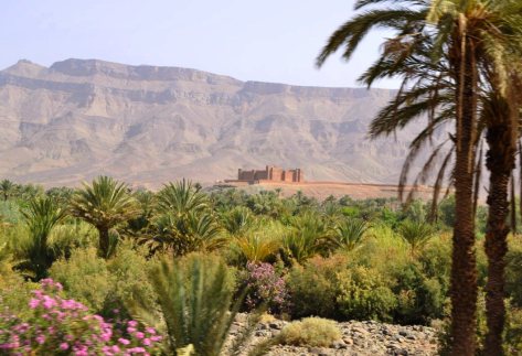 _DSC1086 (FILEminimizer)