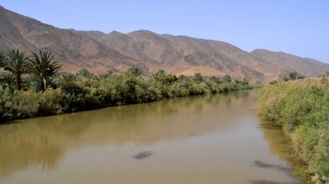 _DSC1105 (FILEminimizer)