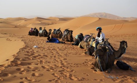 _DSC1255 (FILEminimizer)