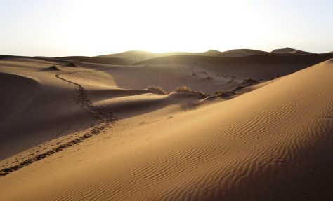 _DSC1487 (FILEminimizer)