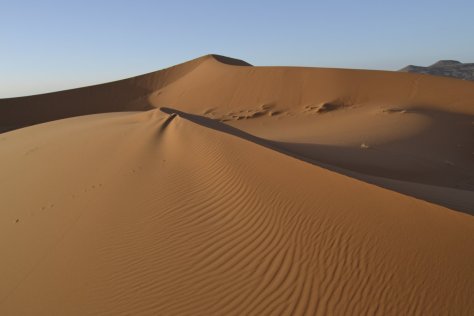 _DSC1495 (FILEminimizer)